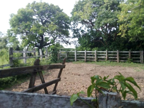 Venta Rancho Ganadero 100 Hectáreas Tamiahua Veracruz