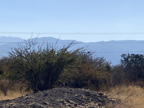 Hermoso Fundo Ubicado A 6,5 Km De San Fernando
