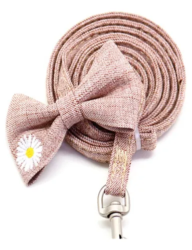 Collar Y Correa Para Perros