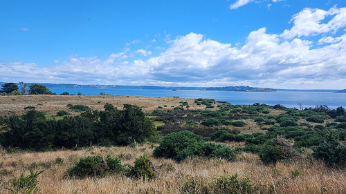 Pto Montt / Calbuco / Chiloe