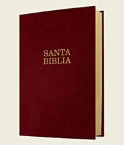 Biblia Nueva Traducción Viviente Letra Super Gigante Td