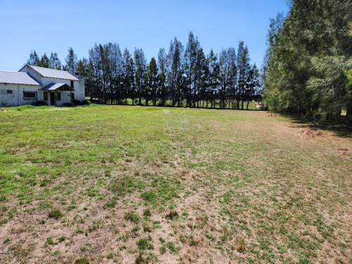 Imagen 9 de 30 de Chacra 5 Hs Con 2 Casas - Consulte !!! - Zona Rural Zona Rural