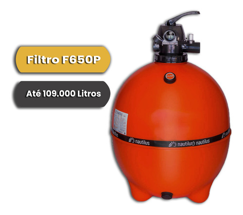 Filtro Para Piscinas Com Até 109000 Litros F650p