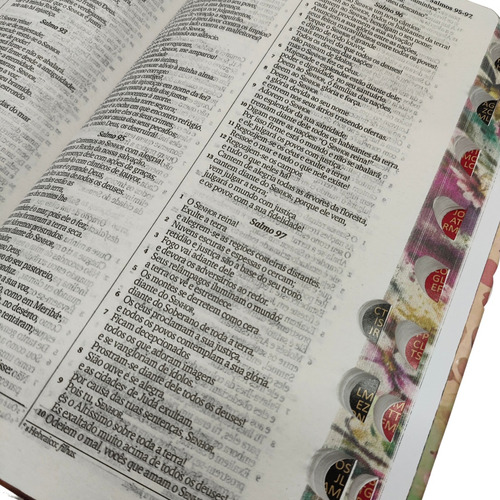 Bíblia Sagrada Nvi Slim Capa Dura Com Índice Tamanho Grande Capa Rei Dos Reis