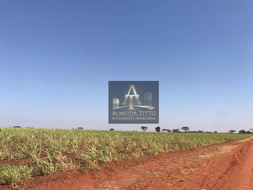 Imagem 6 de 18 de Excelente Fazenda Para Venda Em Nipoã - Sp - Confira!!!! - Fa0056