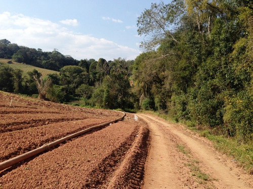 Imagem 21 de 23 de Terreno De 60.000 Mts² Apenas 100 Mts Da Bunjiro Nakao Cod: 0488