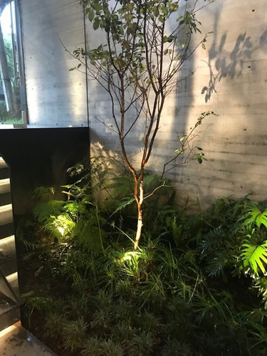 Imagen 9 de 10 de Polanco