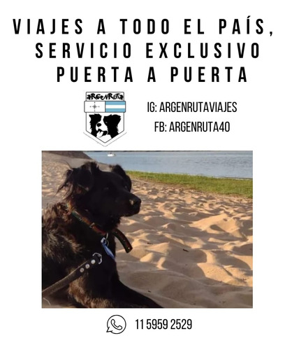 Traslado Viaje Interior Costa Remis Transporte Mascota Perro
