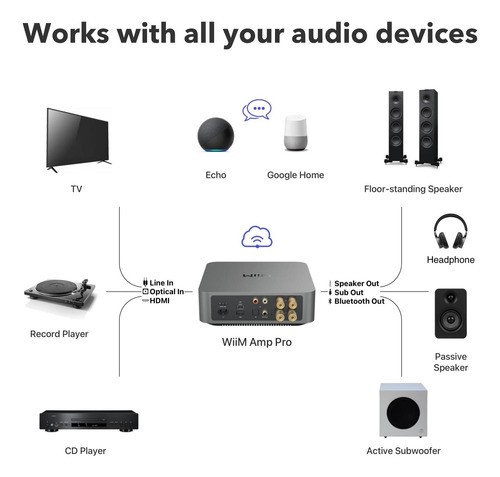 Wiim Amp Pro: Amplificador De Transmisión Multiroméstico | |