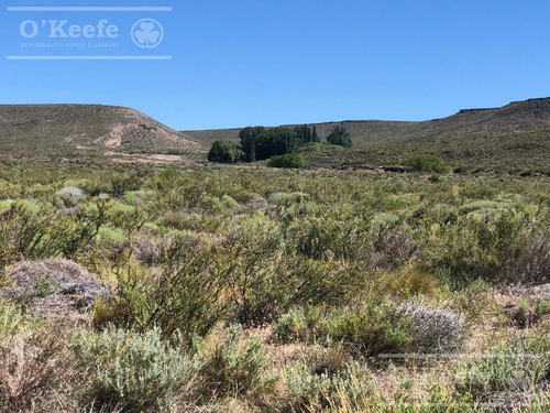 Imagen 17 de 28 de 8.805 Has En Neuquen Venta / Alquiler, Con 18 Km De Costa Del Embalse Piedra Del Águila.