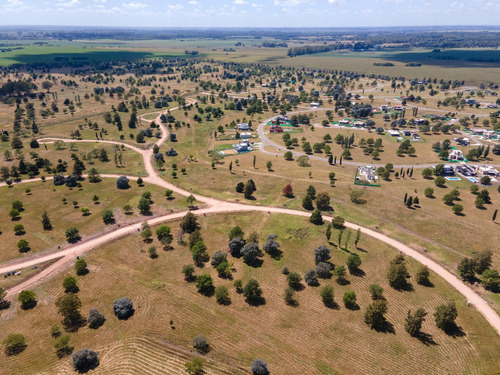 MIRABOSQUES II