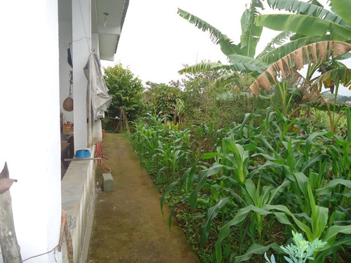 Imagem 2 de 13 de Boa Chácara Bairro Puris 1640,00m2