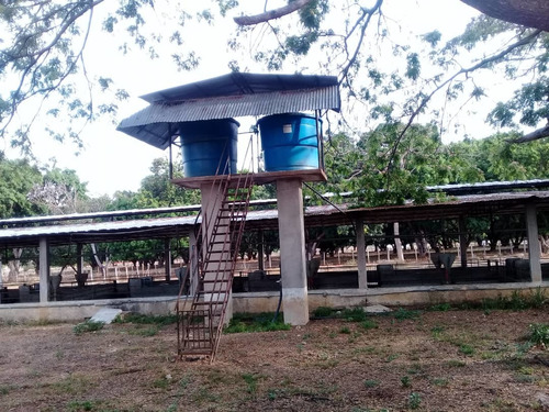 Imagen 14 de 14 de Finca En Tinaquillo . Edo Cojedes Glira