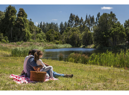Parcela En La Reserva De Frutillar Naturaleza, Exclusivida
