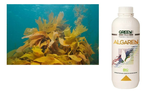Bioestimulante Vegetal A Base De Algas Marinas 100% Natural