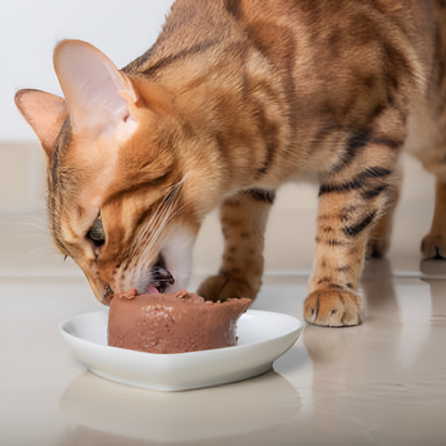Alimento Gato Felix Pate De Salmon Lata 156g Pack 24un