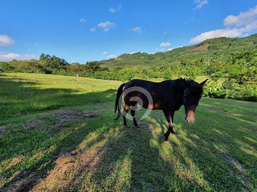 Chácara À Venda, 397000 M² - Linha Cristo Rei - Morro Reuter/rs - Ch0018