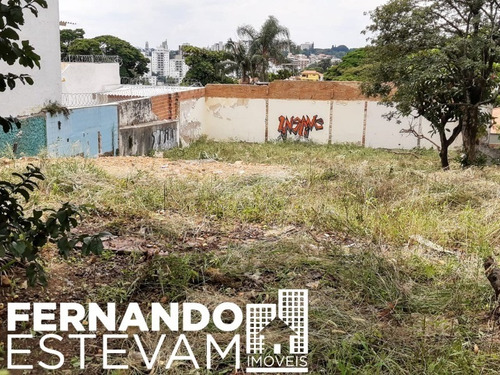 Imagem 4 de 16 de Terreno Vila Inah - Te00004 - 69204789
