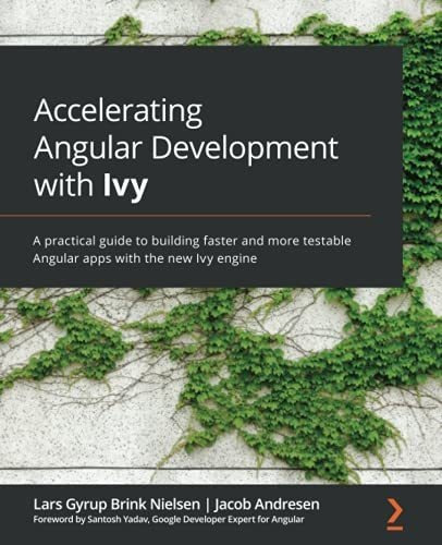 Book : Accelerating Angular Development With Ivy A Practica