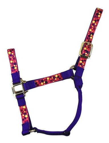 Cabresto Para Cavalo Weaver Roxo 