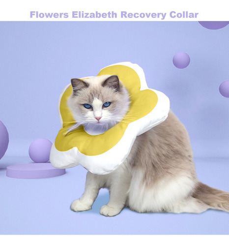 Collar Antilamido Para Mascotas En Forma De Flor Recovery El