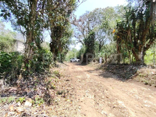 Venta Terreno 1387.409 M2 Rustico Con Escritura, Zona Universitaria A 9 Min