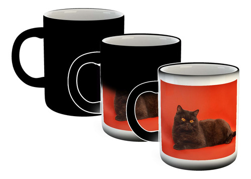 Taza Magica Gato Negro Ojos Amarillo Fondo Naranja