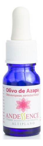 Olivo De Azapa 30 Ml Set Altiplano