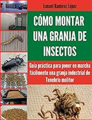 Cómo Montar Una Granja De Insectos: Guía Práctica Para Poner