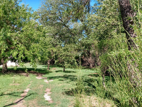 Terreno Lote Ecuestre Semi Industrial En Alquiler En Villa Rosa, Pilar, G.b.a. Zona Norte