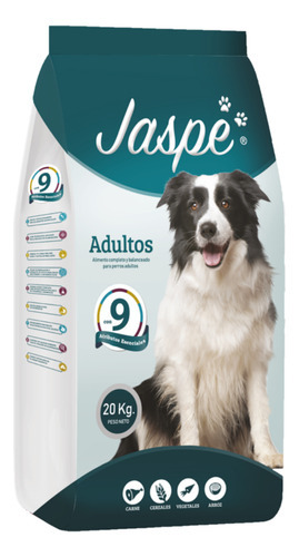 Jazpe Adulto 20kg 21% Proteína