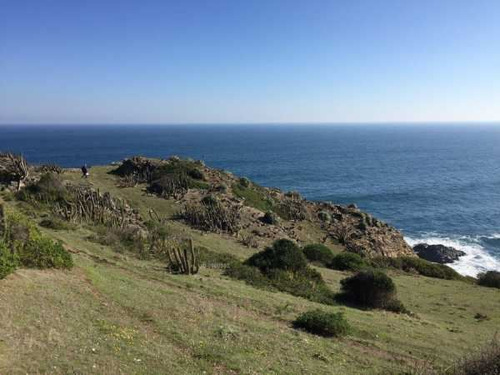 Sitio En Venta En Pichilemu