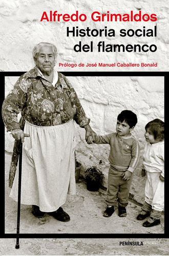 Historia Social Del Flamenco (libro Original)