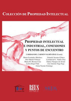 Propiedad Intelectual E Industrial, Conexiones Y Puntos D...