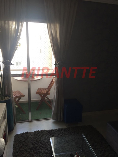 Imagem 5 de 16 de Apartamento Em Tucuruvi - São Paulo, Sp - 303969