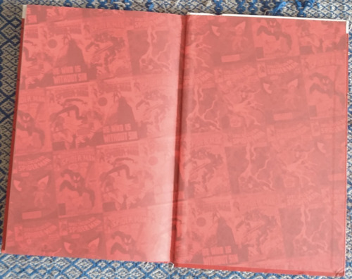 Livro Homem Aranha - A Morte De Jean Dewolff (Usado)