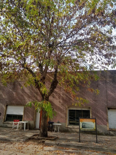 Imagen 3 de 7 de Lote Comercial En Madariaga