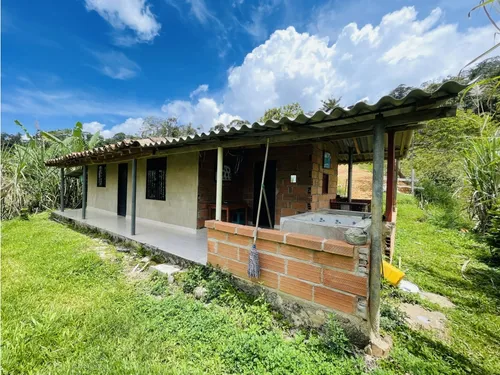 Se Vende Finca De 7 Hectáreas En San Roque, Antioquia