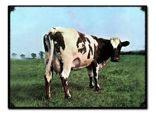 #863 - Cuadro Vintage Rock - Pink Floyd Poster No Chapa