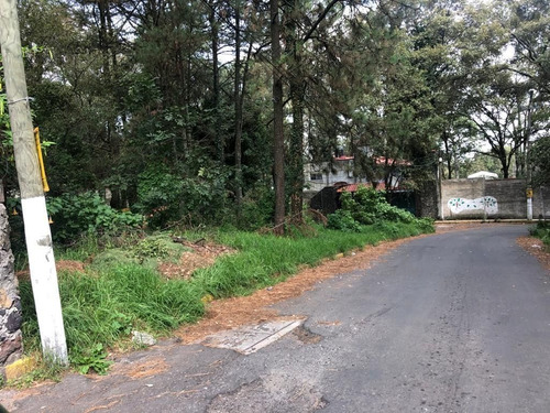 Imagen 4 de 8 de Aproveche Para Constuir Su Cabaña