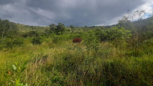 Imagem 26 de 27 de Fazenda Com 377 Tarefas Em Morro Do Chapéu - Bahia - Afd015 - 70334233