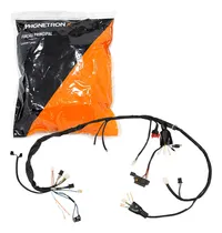 Comprar Fiacao Principal Chicote Magnetron Cg Titan 150 Esu002Fesd 04u002F08