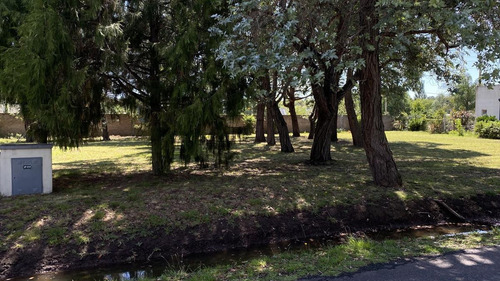 Terreno - Lomas De San Antonio