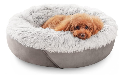 Joejoy Cama Pequeña Para Perros Y Gatos, Cama Antiansiedad P