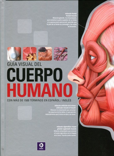 Guia Visual Del Cuerpo Humano, De Belanger, Sylvain. Editorial Edimat Libros, Tapa Dura En Español