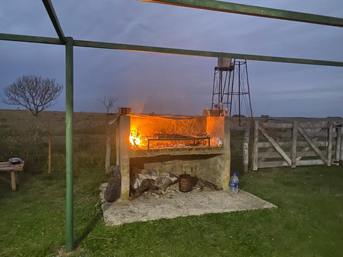 Imagen 4 de 23 de Campo Agrícola En Gualeguaychú (camino De Rojas)