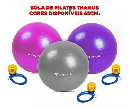 Bola Suíça Pilates 65cm Com Bomba 150 Kg Ginástica Yoga Cor Cinza