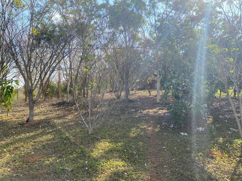 Imagem 20 de 30 de Sítio 20 Alqueires, Casa Sede Com 2 Dormitórios, 1 Suíte Com Banheira, Escritório, Casa De Caseiro, Área De Lazer Completa, Árvores Frutíferas - St00169 - 70653265