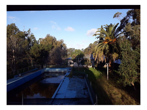 Imagen 14 de 23 de Campo 5 Ha Arboledas Añosas 2 Piletas Natac. Complejo C/instalac. Y Vvda Aptas Varios Destinos