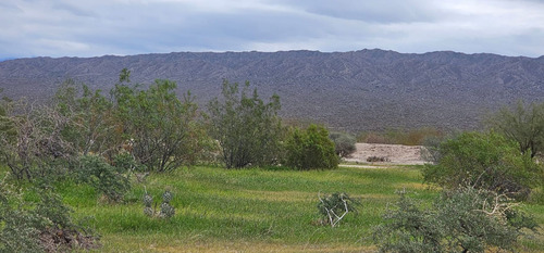 Venta Campo De 7.100 Has En Talacasto, Ullum